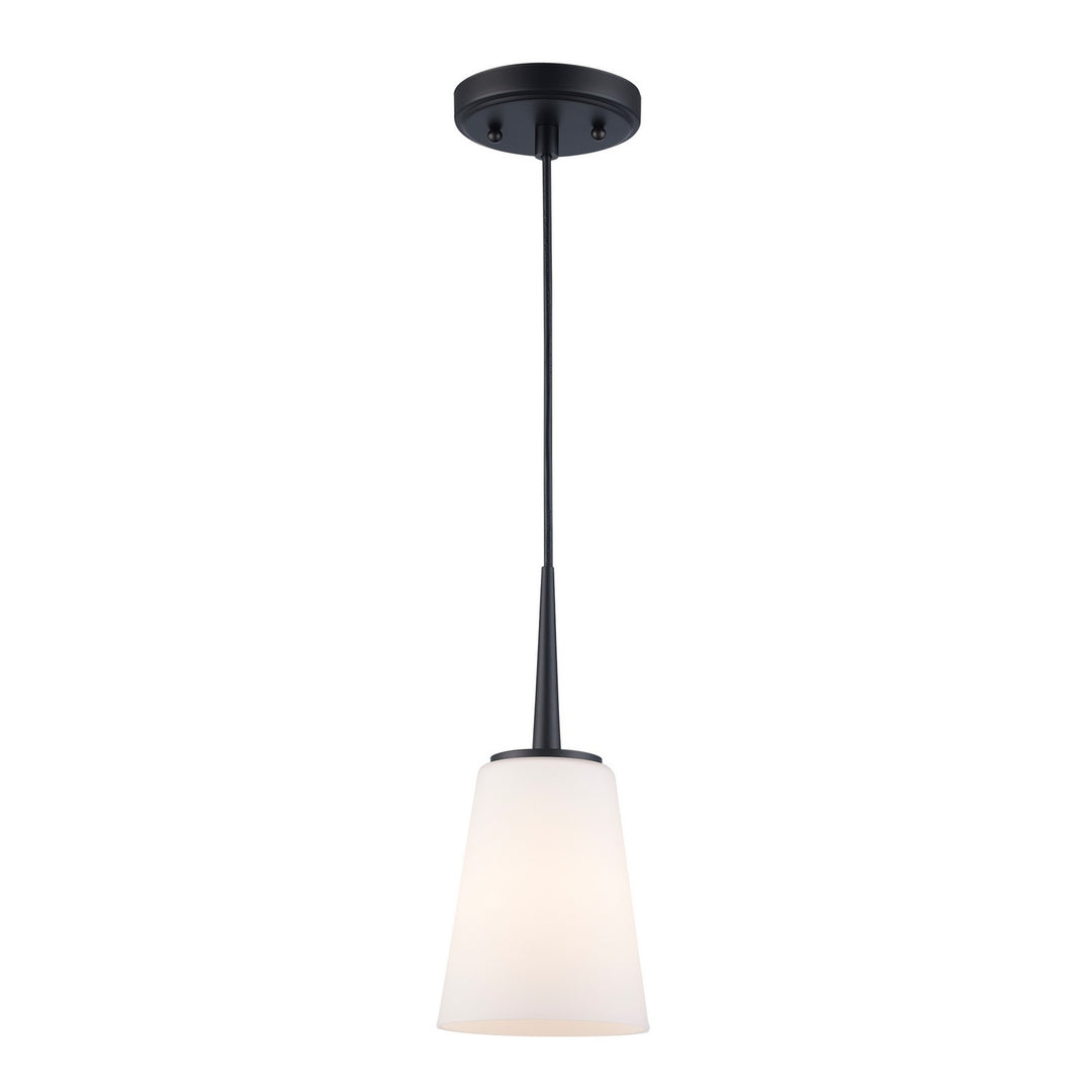 One Light Pendant in Black - available from The Lighting Shoppe, trusted by Canadian homeowners