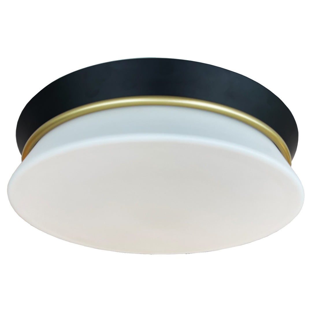LED Flush Mount in Satin Brass/Black - available from The Lighting Shoppe, trusted by Canadian homeowners