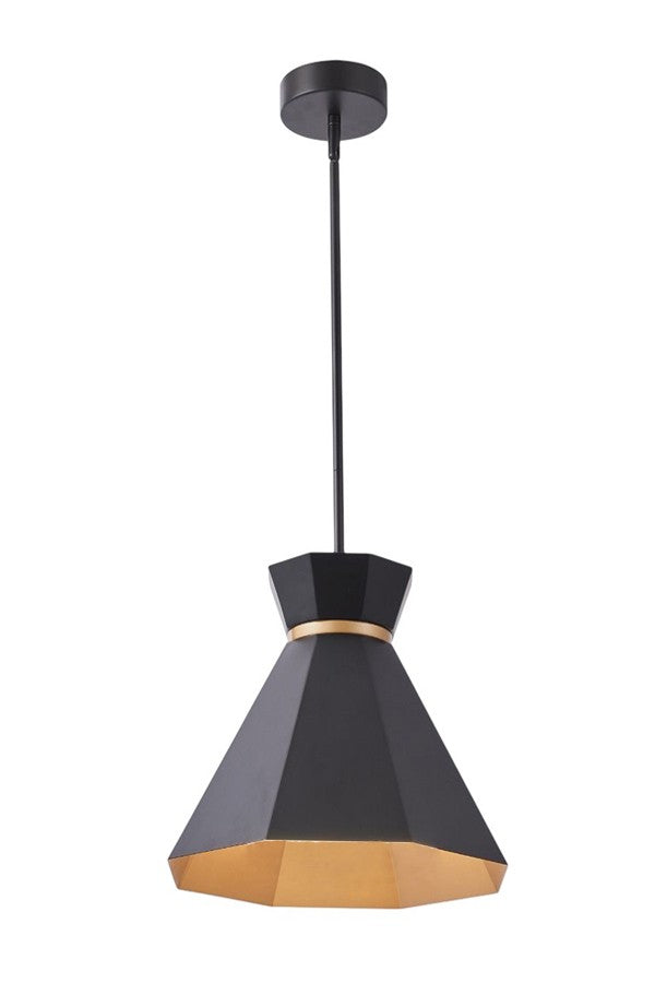 One Light Pendant in Aged Brass/Black - available from The Lighting Shoppe, trusted by Canadian homeowners
