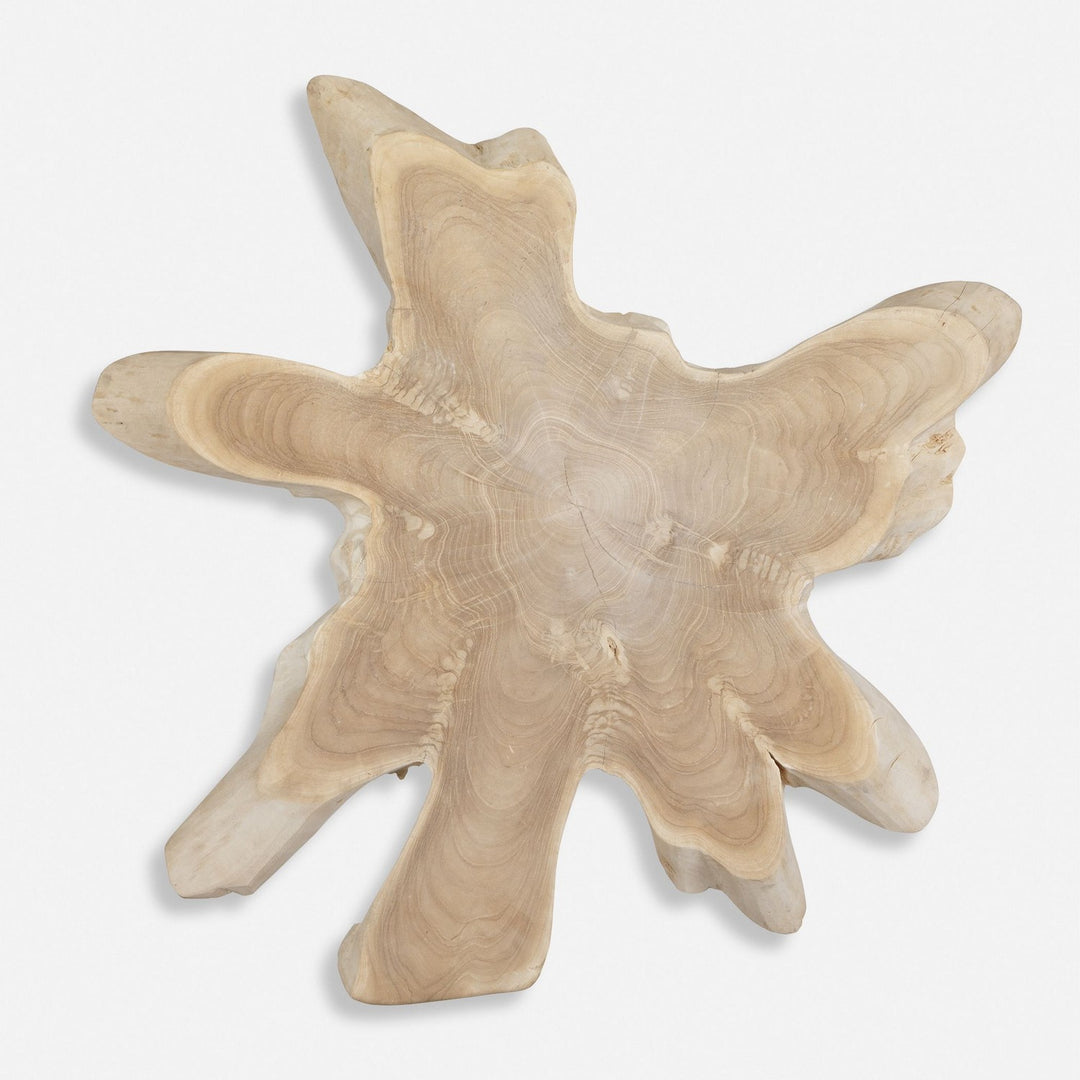 Terrains Wall Decor in Natural Bleached Blonde - available from The Lighting Shoppe, trusted by Canadian homeowners