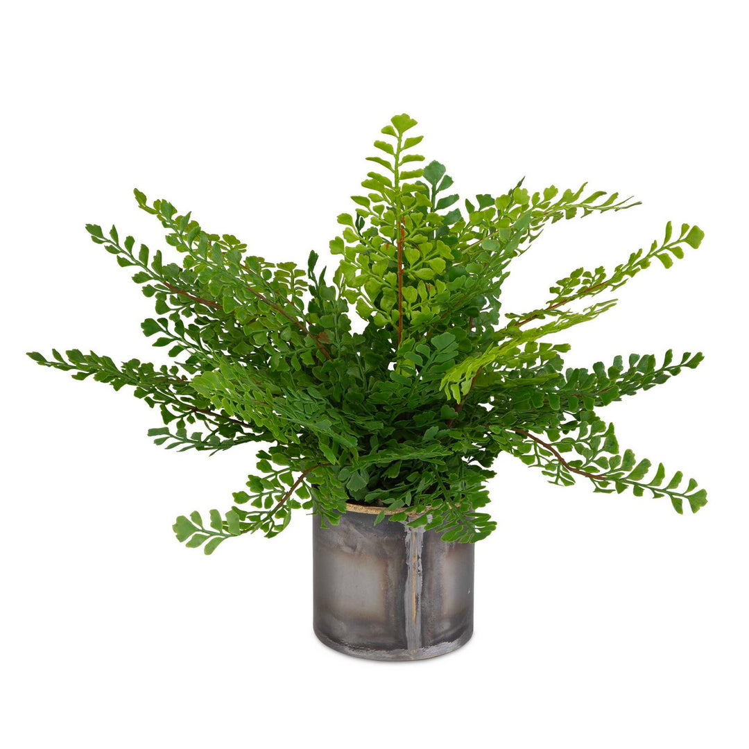 Maidenhair Fern Container in Gold - available from The Lighting Shoppe, trusted by Canadian homeowners