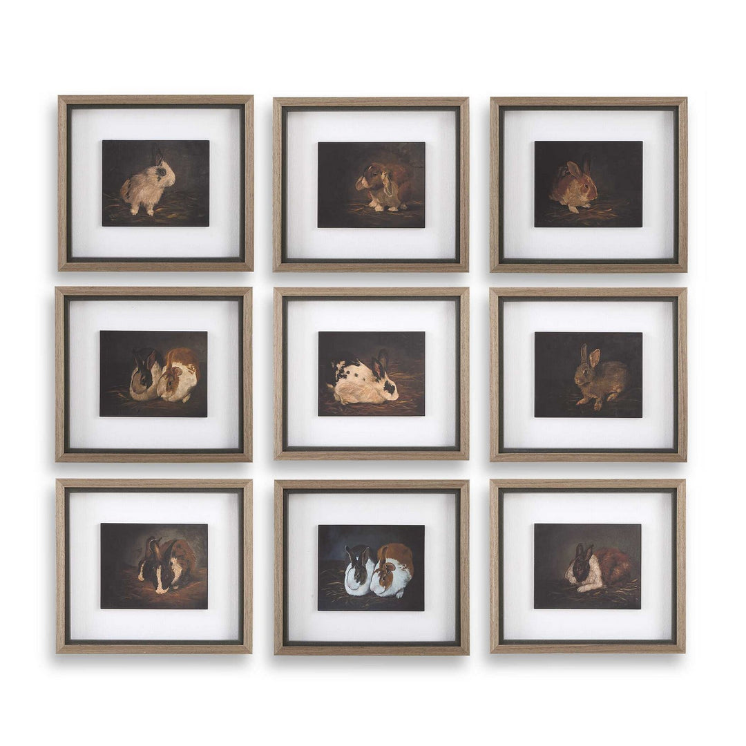 Resting Bunny Framed Print - available from The Lighting Shoppe, trusted by Canadian homeowners