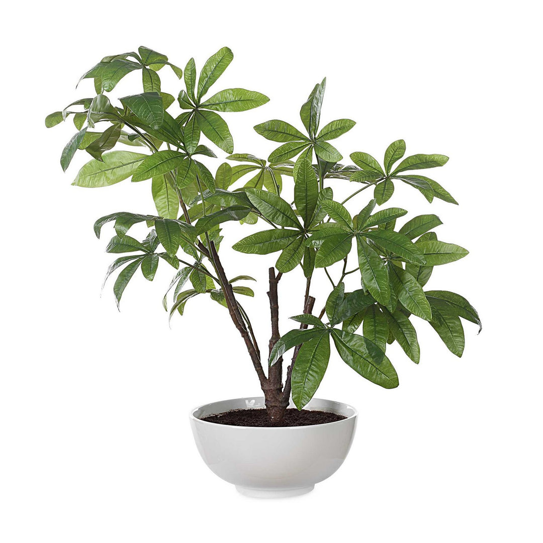 Pachira Money Tree in Glossy White - available from The Lighting Shoppe, trusted by Canadian homeowners