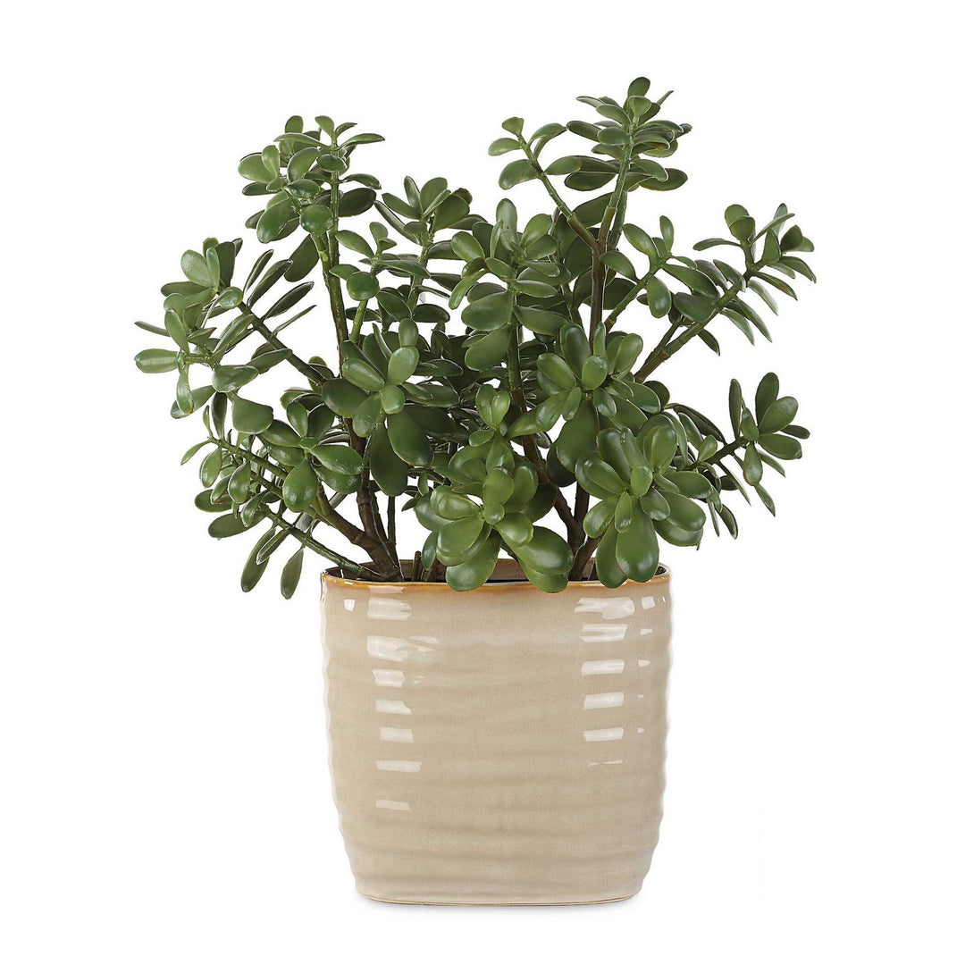 Crassula Jade Accent Plant in Textured Tan - available from The Lighting Shoppe, trusted by Canadian homeowners