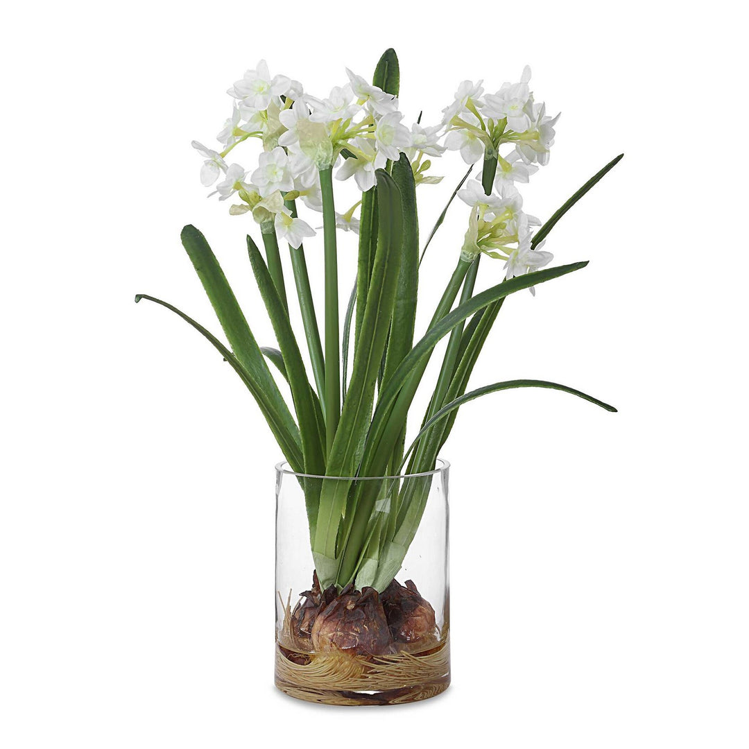 Lacey Daffodil Accent Arrangement in Paperwhite - available from The Lighting Shoppe, trusted by Canadian homeowners