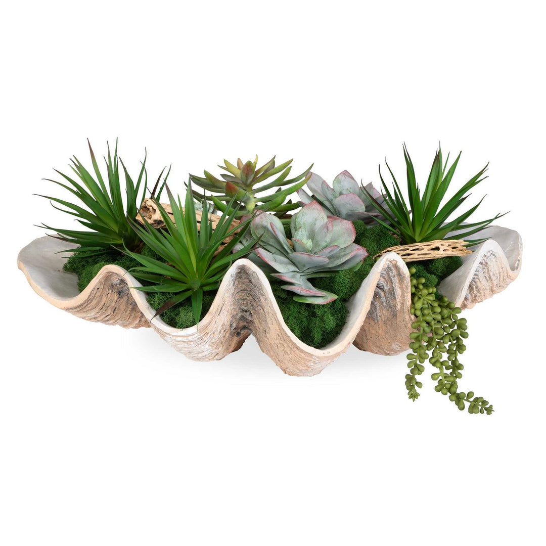 Seaside Breeze Succulents in Natural - available from The Lighting Shoppe, trusted by Canadian homeowners