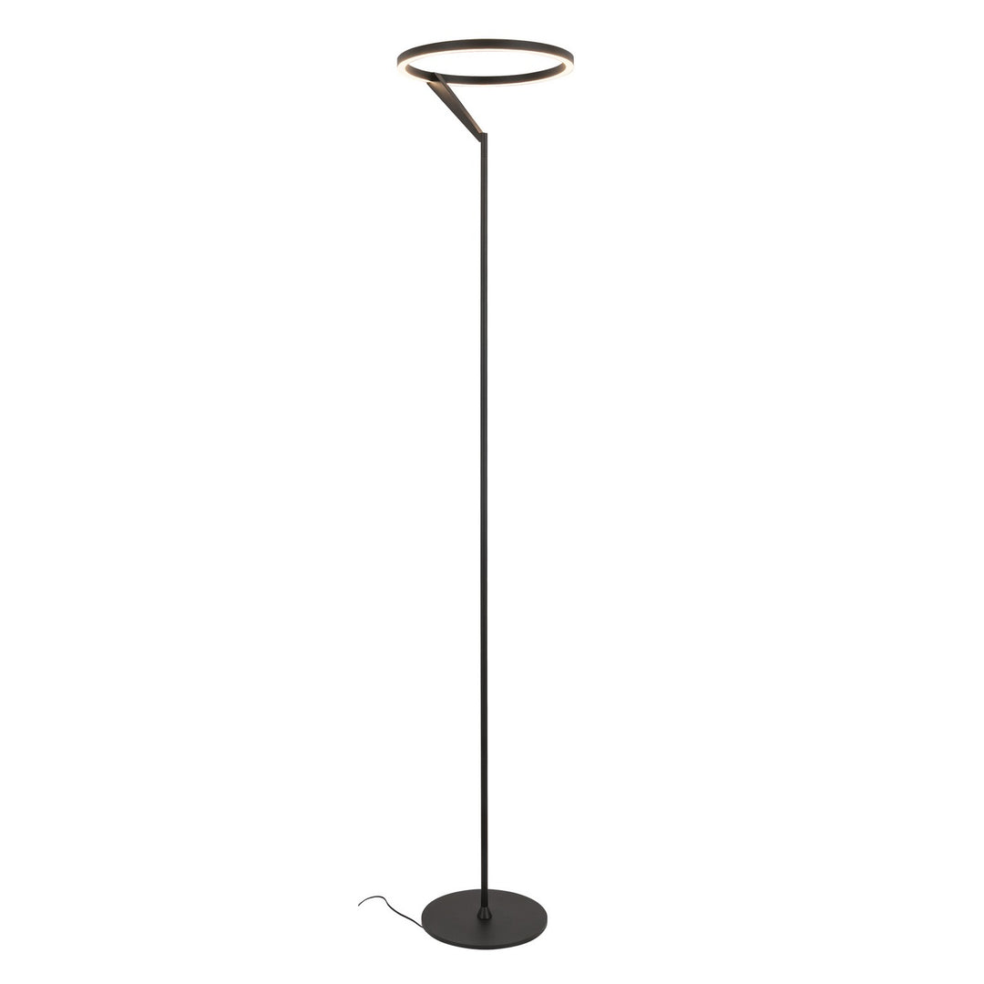 Roda LED Floor Lamp in Black - available from The Lighting Shoppe, trusted by Canadian homeowners