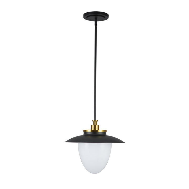 Artcraft Canada - AC11905BB - One Light Pendant - Dahlia - Black