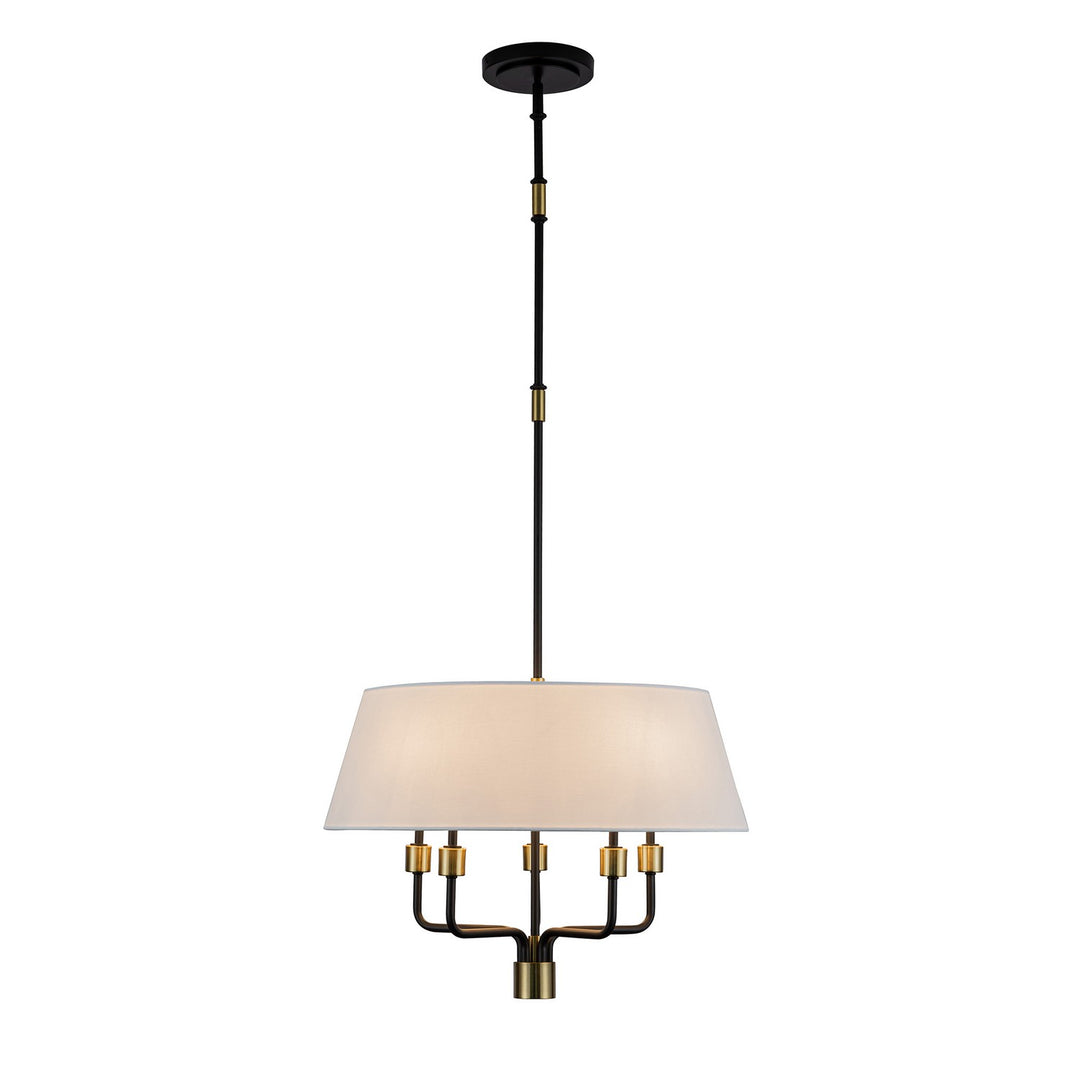 Providence Five Light Pendant in Black, Brushed Brass - available from The Lighting Shoppe, trusted by Canadian homeowners