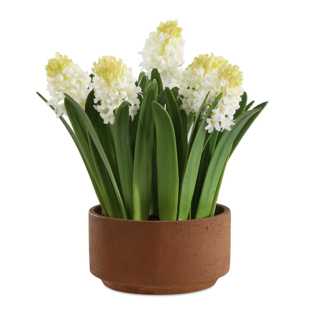 Sincerity Hyacinth Plant in Terracotta - available from The Lighting Shoppe, trusted by Canadian homeowners