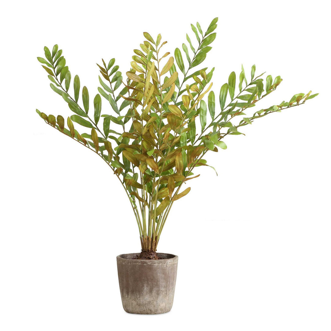 Zamia Planter in Rustic - available from The Lighting Shoppe, trusted by Canadian homeowners