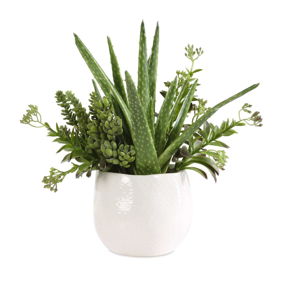 Sundown Succulent Planter in Gloss White - available from The Lighting Shoppe, trusted by Canadian homeowners