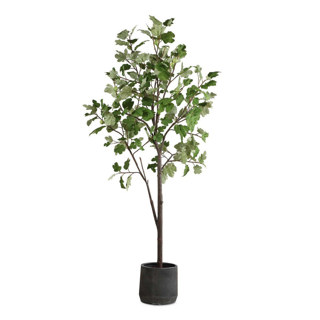 Eden Tree in Black - available from The Lighting Shoppe, trusted by Canadian homeowners