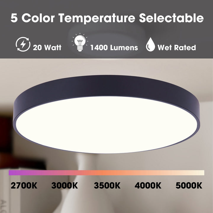 Canarm Canada - DL-10F-20WS-BK-C - LED Flush Mount - Luna - Matte Black