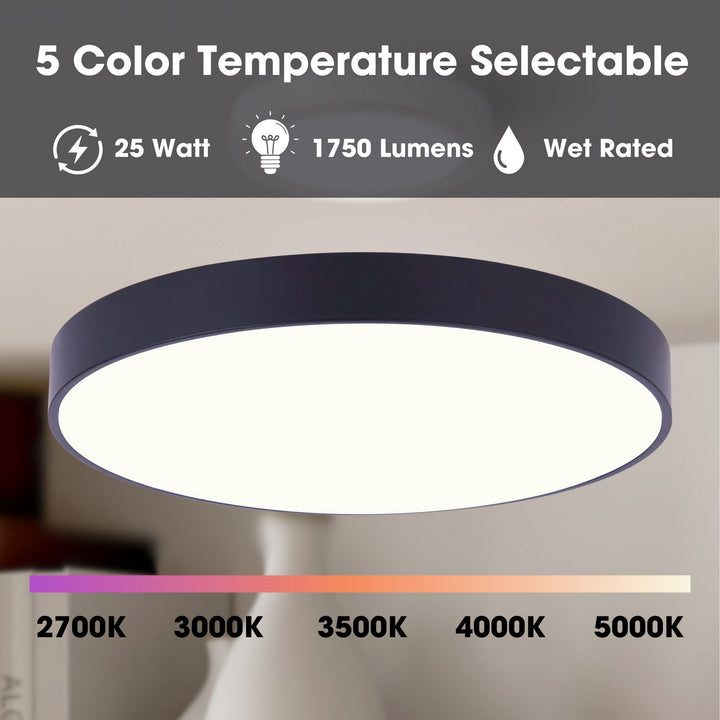 Canarm Canada - DL-12F-25WS-BK-C - LED Flush Mount - Luna - Matte Black
