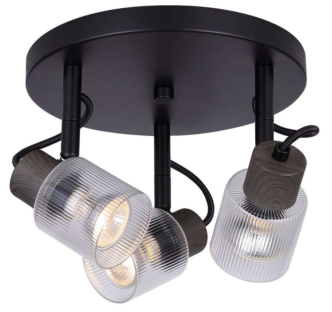 Owen Three Light Ceiling/Wall Mount in Black - available from The Lighting Shoppe, trusted by Canadian homeowners
