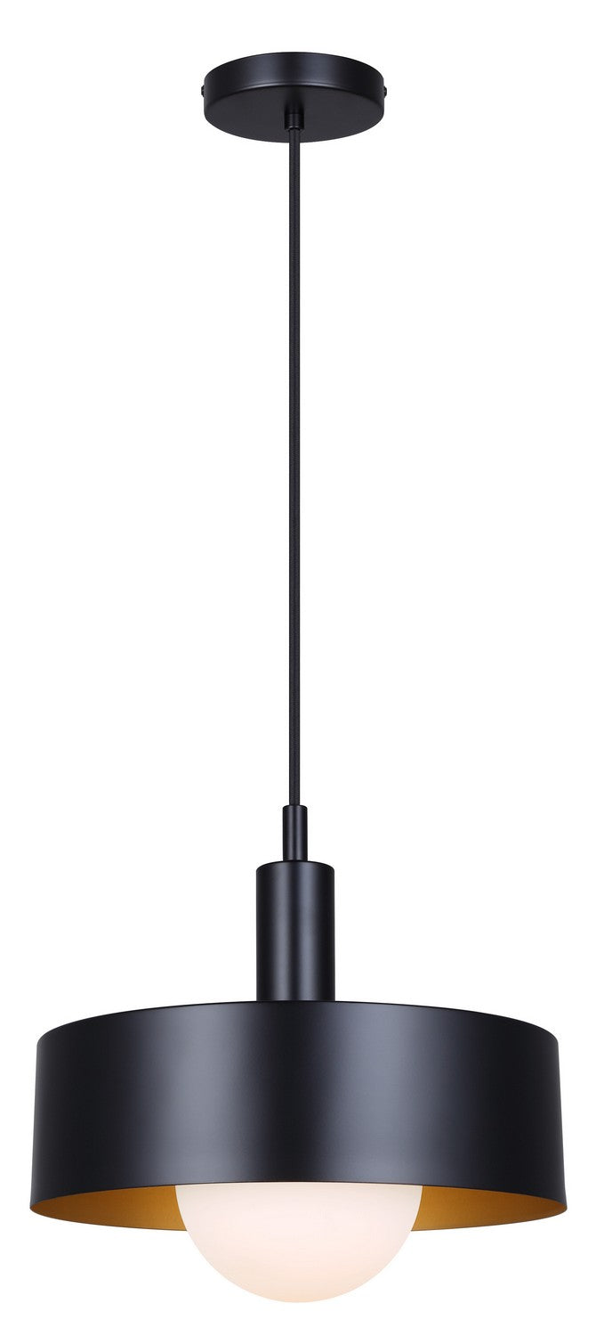 Daylon One Light Pendant in Black - available from The Lighting Shoppe, trusted by Canadian homeowners