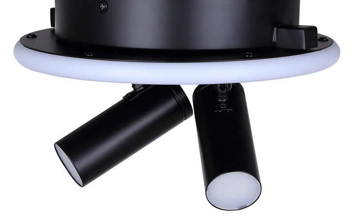 Canarm Canada - LCW314A02BK - Two Light Ceiling/Wall Mount - Denver - Matte Black