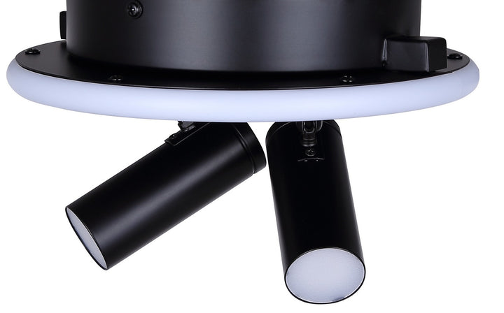 Canarm Canada - LCW314A02BK - Two Light Ceiling/Wall Mount - Denver - Matte Black