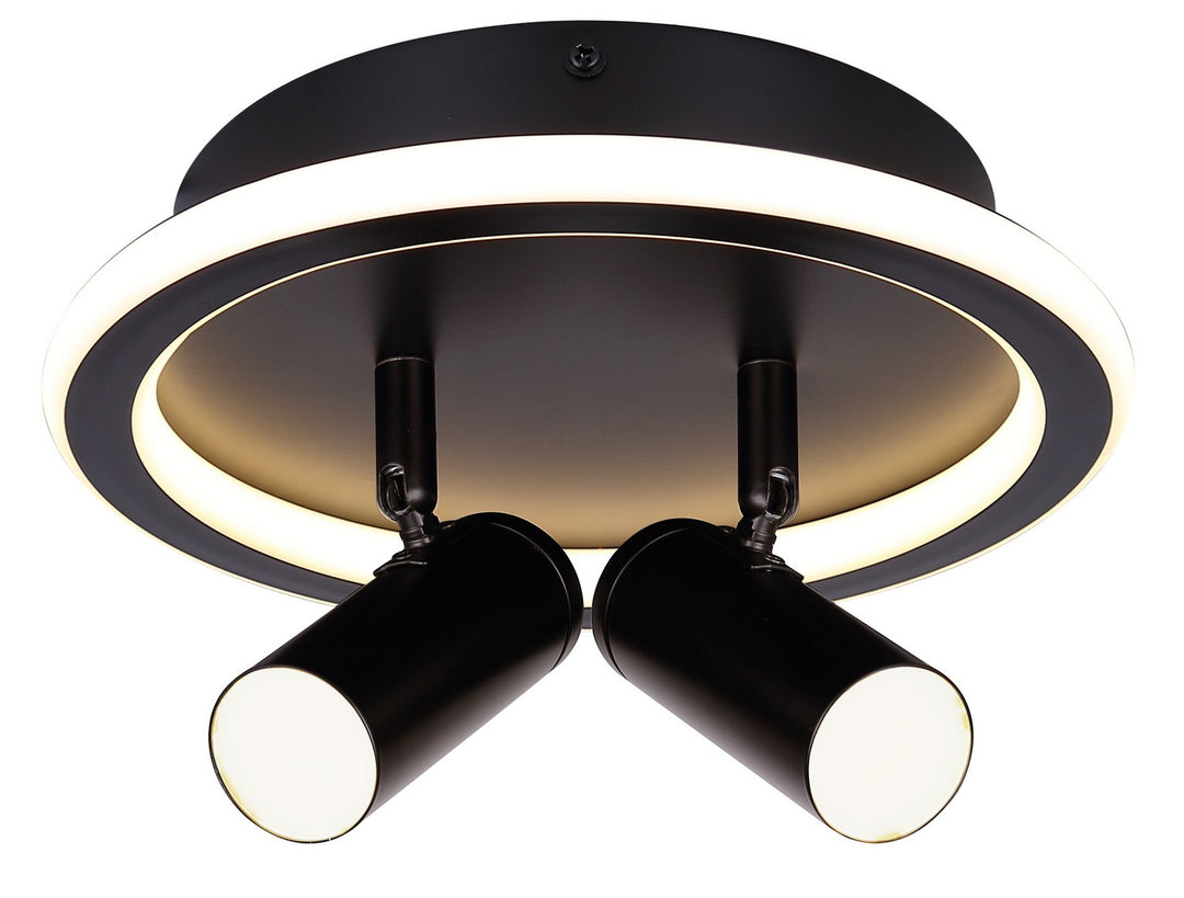 Denver Two Light Ceiling/Wall Mount in Black - available from The Lighting Shoppe, trusted by Canadian homeowners