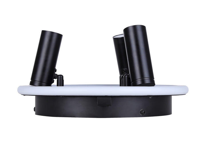 Canarm Canada - LCW314A03BK - LED Ceiling/Wall Mount - Denver - Matte Black
