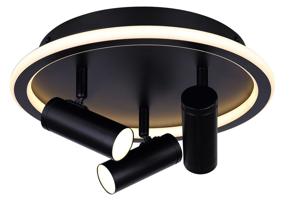 Denver LED Ceiling/Wall Mount in Black - available from The Lighting Shoppe, trusted by Canadian homeowners