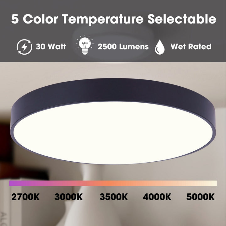 Canarm Canada - DL-6F-10WS-BK-C - LED Flush Mount - Luna - Matte Black