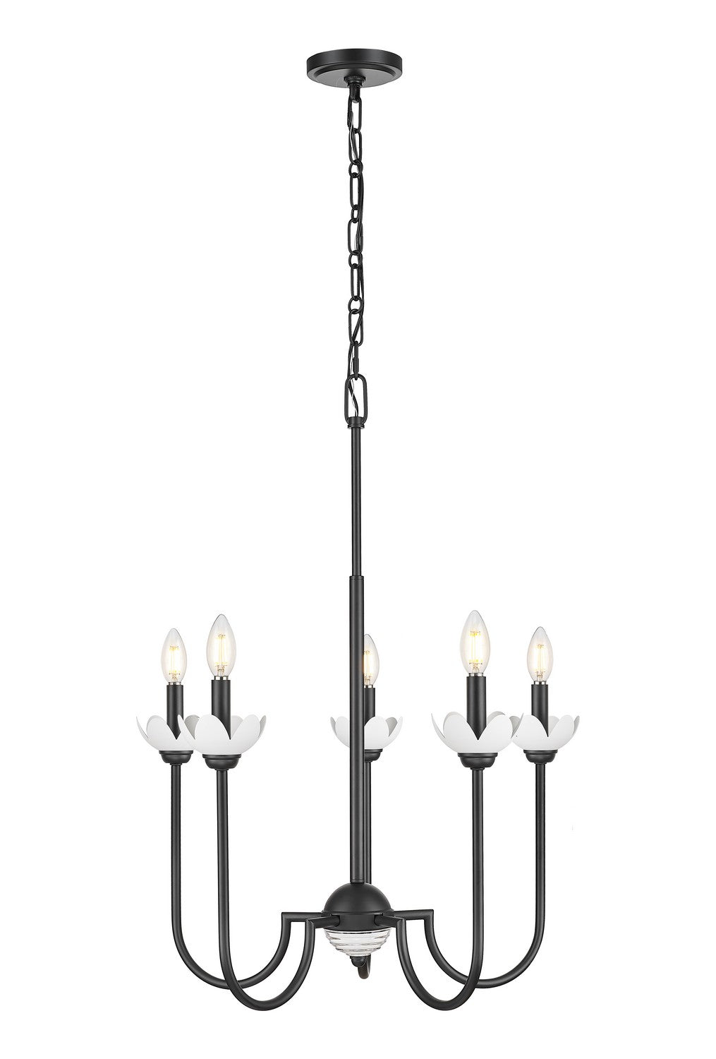 Allistair Five Light Chandelier in Matte Black - available from The Lighting Shoppe, trusted by Canadian homeowners