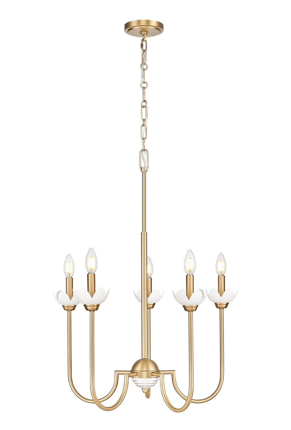 Allistair Five Light Chandelier in Modern Gold - available from The Lighting Shoppe, trusted by Canadian homeowners