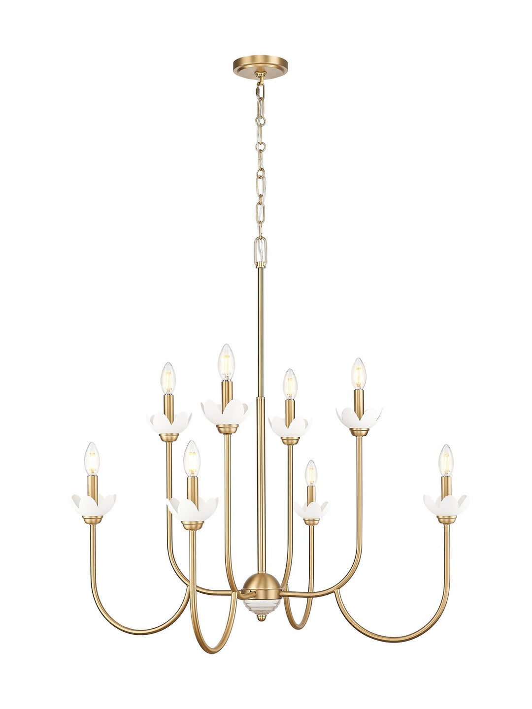 Allistair Eight Light Chandelier in Modern Gold - available from The Lighting Shoppe, trusted by Canadian homeowners