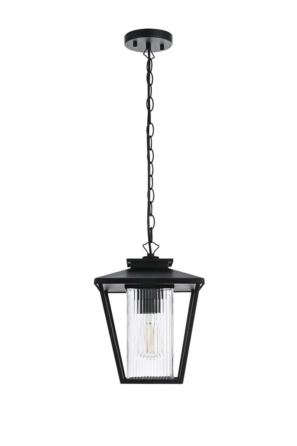 Gaul One Light Outdoor Pendant in Black Elegant Lighting