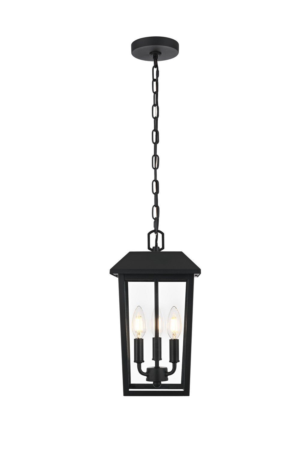 Riggs Three Light Outdoor Pendant in Black Elegant Lighting