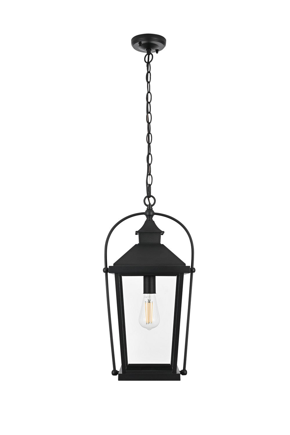 Luz One Light Outdoor Pendant in Black and Clear Elegant Lighting
