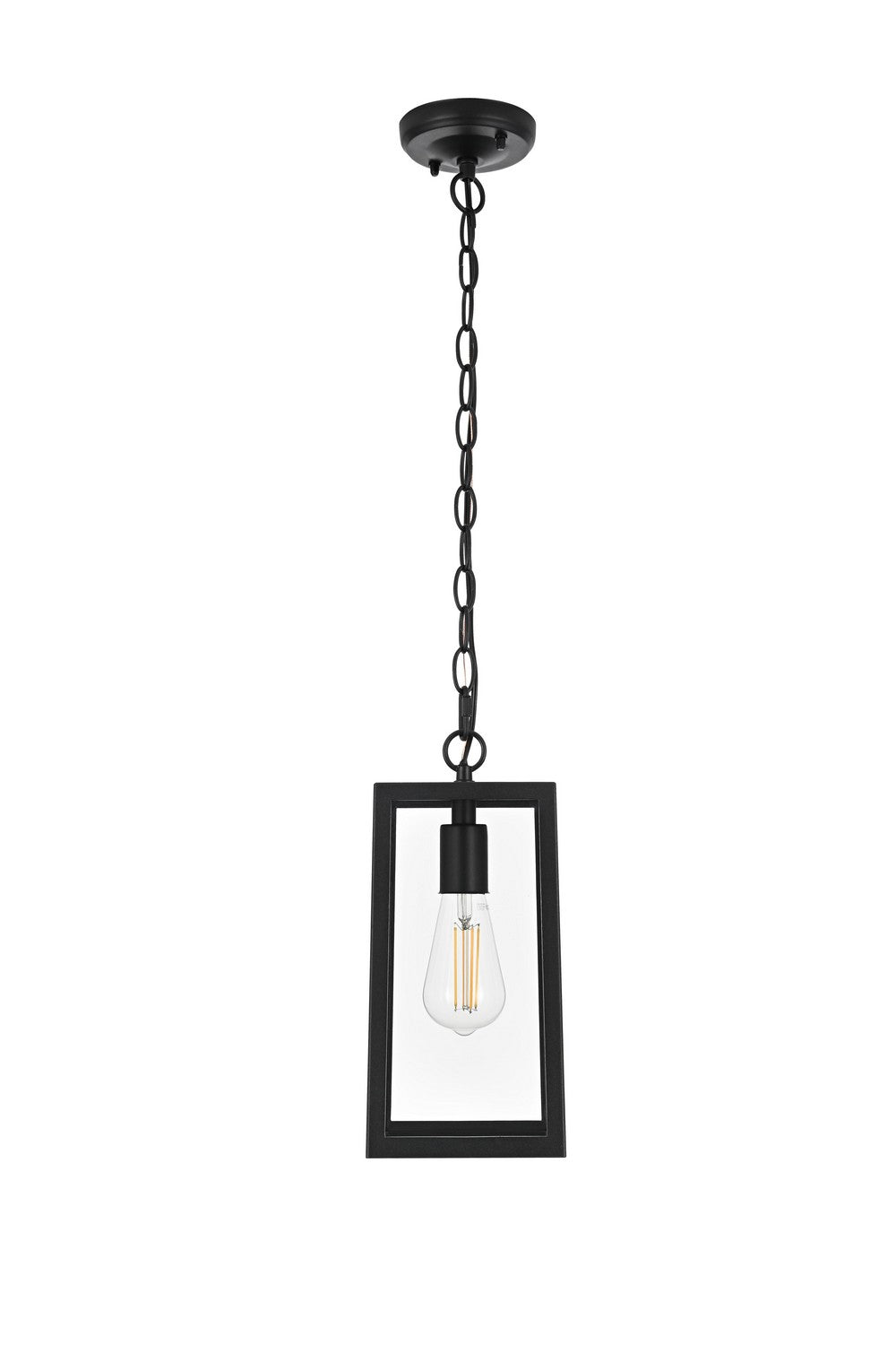 Veda One Light Outdoor Pendant in Black and Clear Elegant Lighting