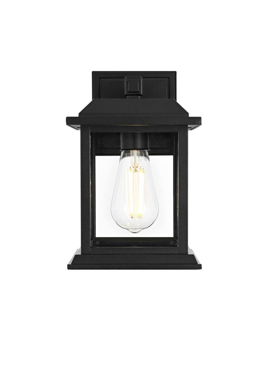 Araceli One Light Outdoor Wall Sconce in Black and Clear Elegant Lighting