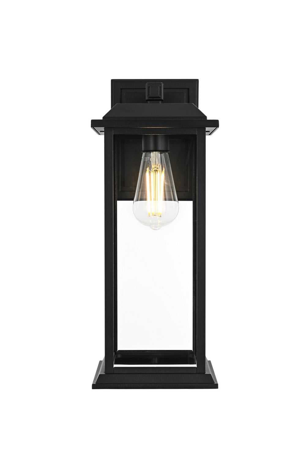 Araceli One Light Outdoor Wall Sconce in Black and Clear Elegant Lighting