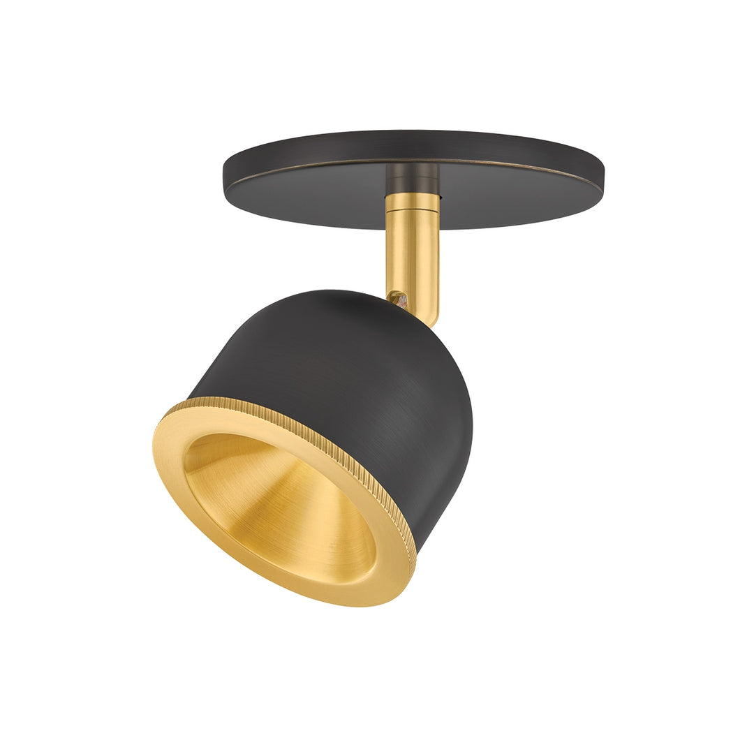 Hudson Valley Canada - 3041-AGB/DB - LED Flush Mount - Tuthill - Aged Brass