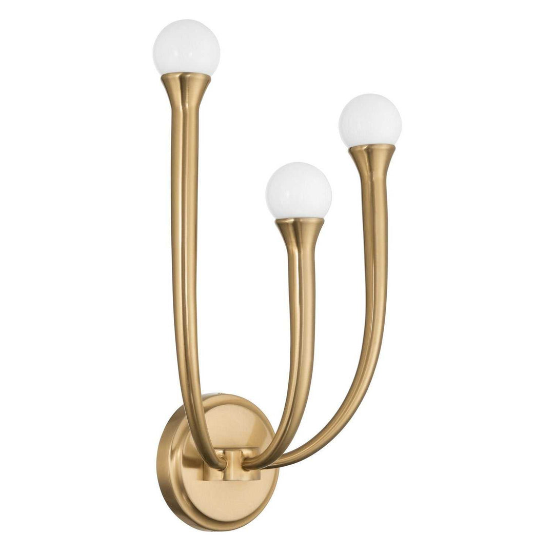 Dahlia LED Wall Sconce in Brass Thesis Canada