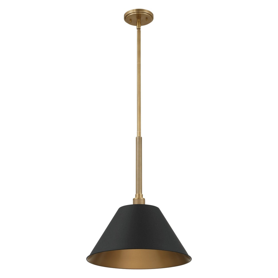 Mcgill One Light Pendant in Natural Brass, Matte Black Thesis Canada