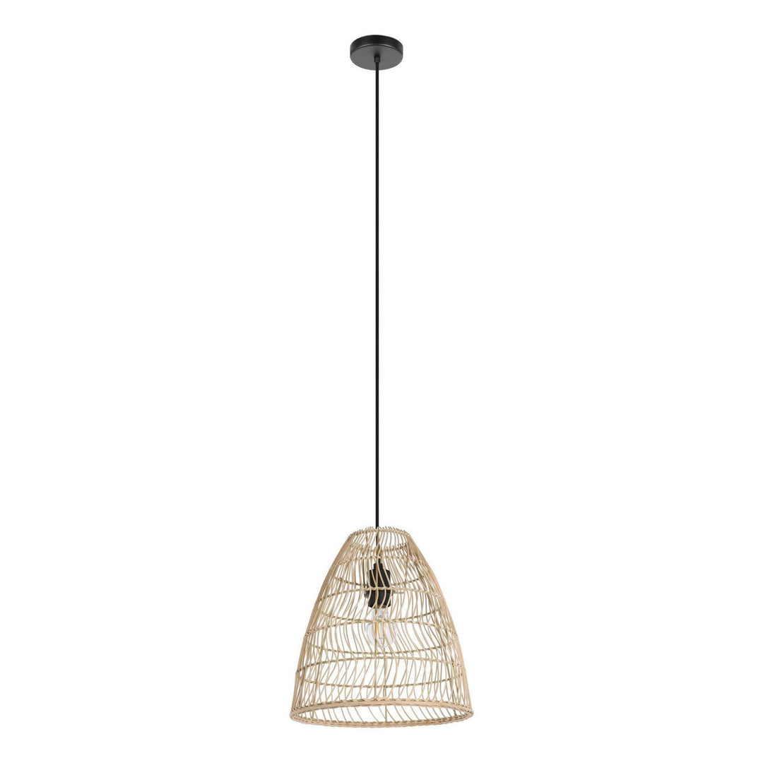 Ayesgarth One Light Mini Pendant in Black Eglo Canada