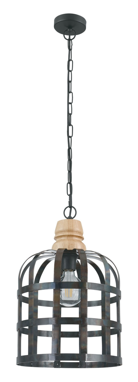 Eglo Canada - 49785A - One Light Pendant - Oldcastle - Black