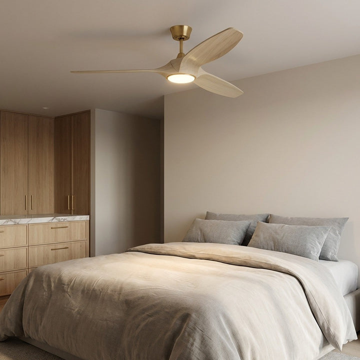 Visual Comfort Fan Canada - 3SLNSM60BBSWWOD - 60" Ceiling Fan - Selen - Burnished Brass
