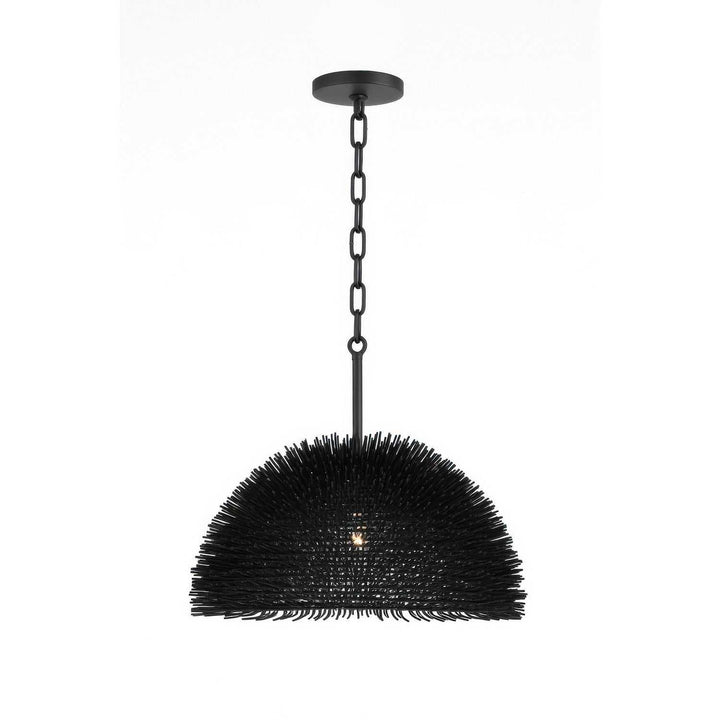 Urchin One Light Pendant in Black Varaluz