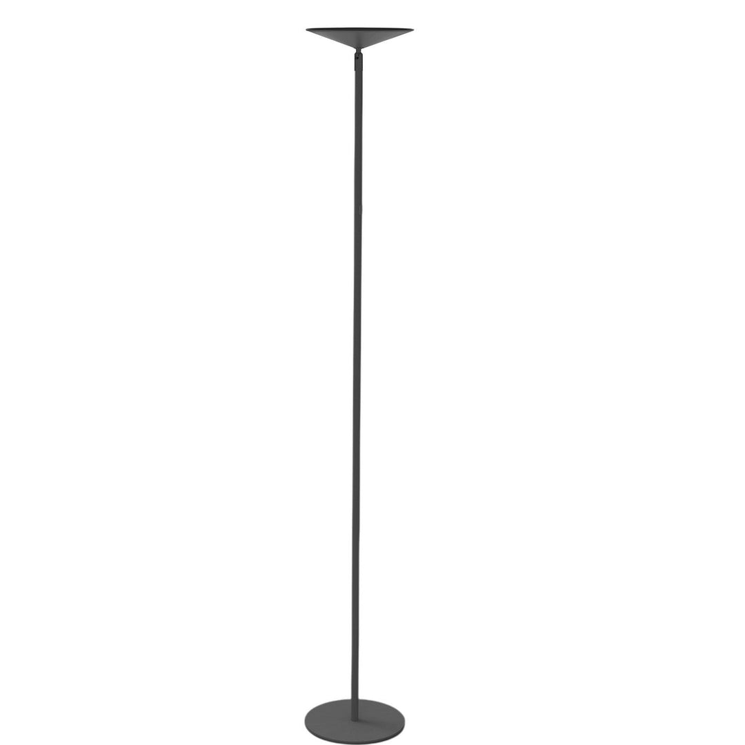 Raquel LED Floor Lamp in Matte Black Dainolite Canada