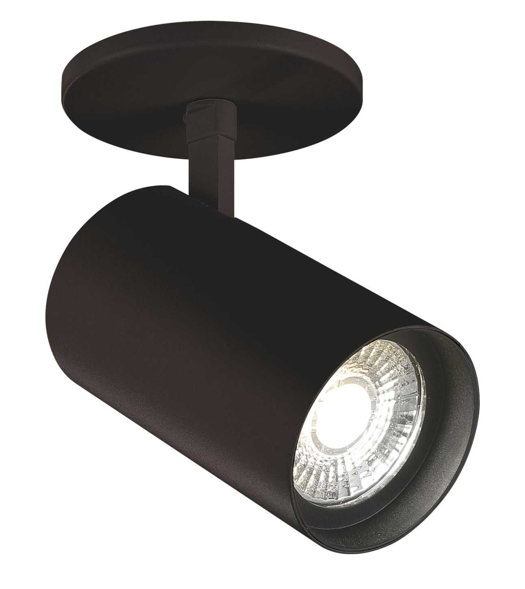 Charlie LED Flushmount in Black Eurofase Canada