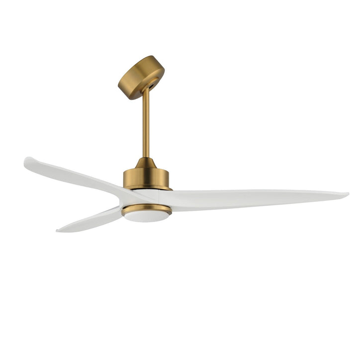 Accessories Sloped Ceiling Adapter in Natural Aged Brass Maxim