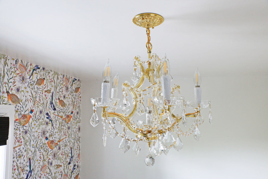 Crystorama - 4405-GD-CL-S - Six Light Mini Chandelier - Maria Theresa - Gold