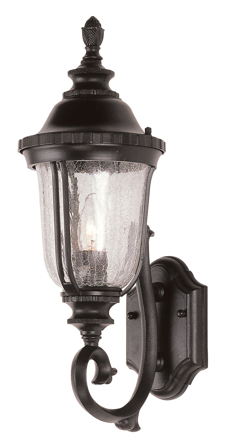 Chessie One Light Wall Lantern in Black - available from The Lighting Shoppe, trusted by Canadian homeowners