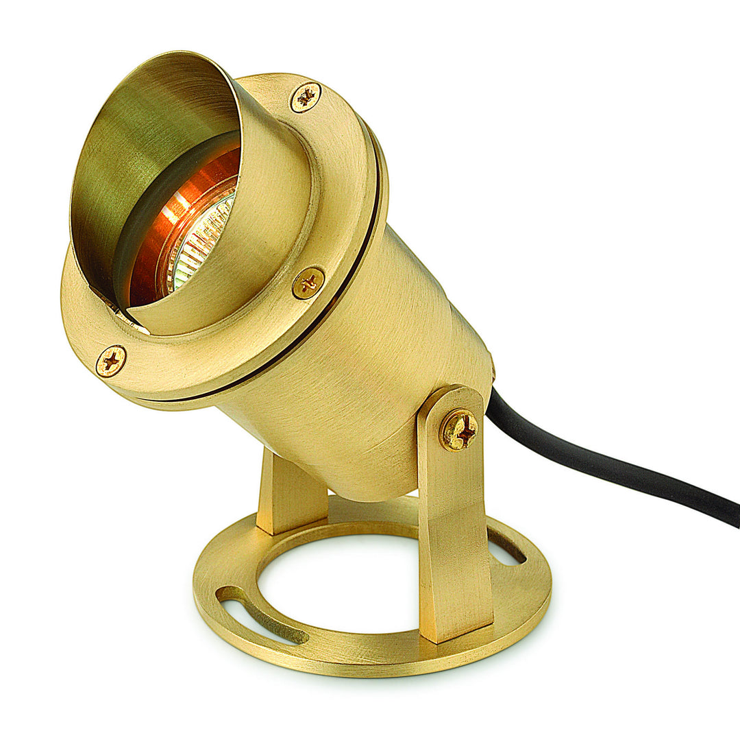 Accent Pond Light LED Submersible in Brass - available from The Lighting Shoppe, trusted by Canadian homeowners
