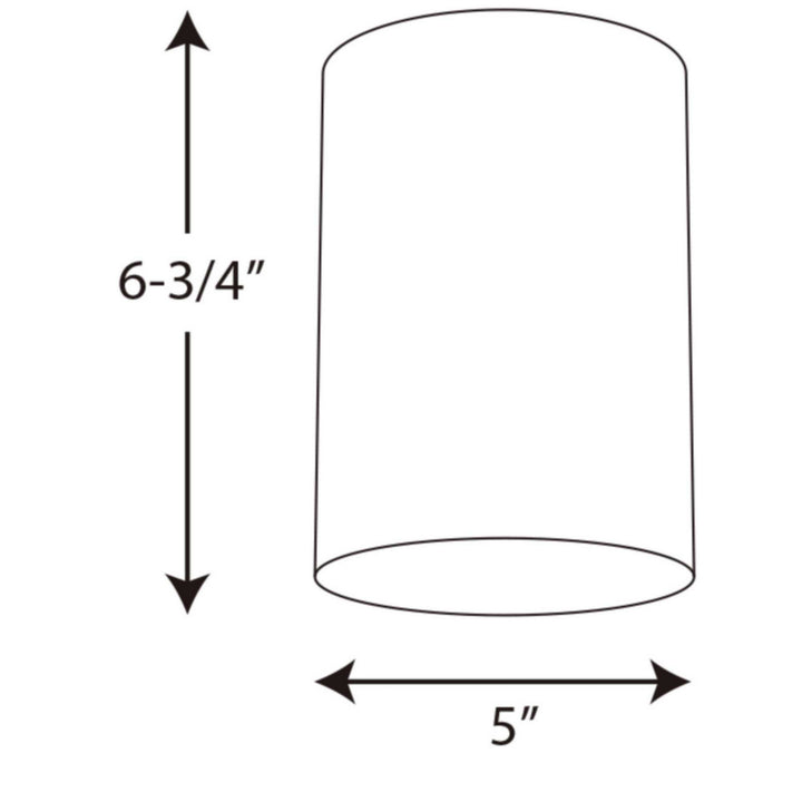 Progress Canada - P5774-30 - One Light Outdoor Ceiling Mount - Cylinder - White